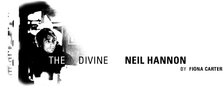 The Divine Neil Hannon